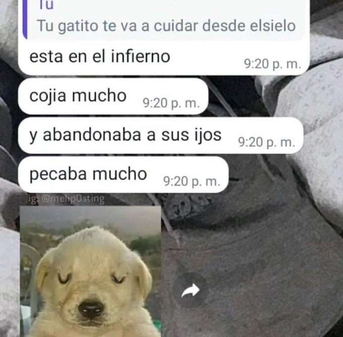 Alejo (@bjs_alejo2) on Twitter photo 