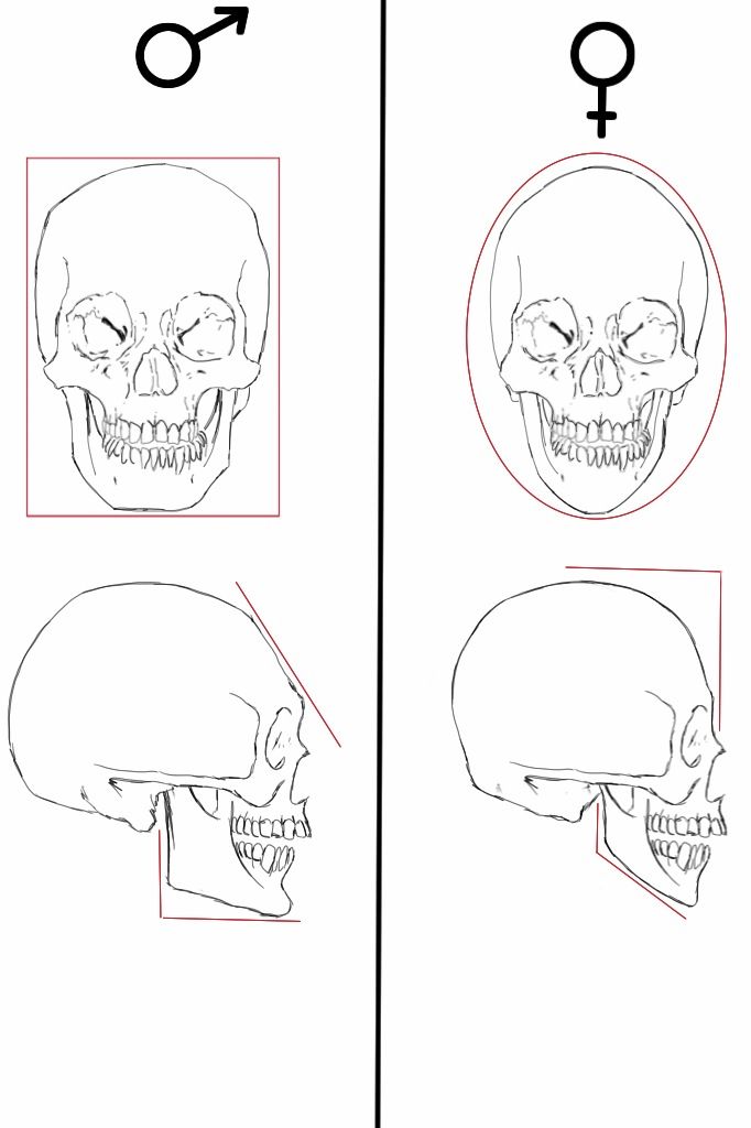 RealPamJones's tweet image. LOOK CLOSELY.
Look how close together the eyes are set.
These are the eye sockets of a FEMALE.
BOOM 💥 This is a #NephClone, a descendant of the #Nephilim.
They All Are!
DNA TEST HER IMMEDIATELY 👇 
#AnatomyMatters #EGi #Husks #f2m

👉transformers everywhere