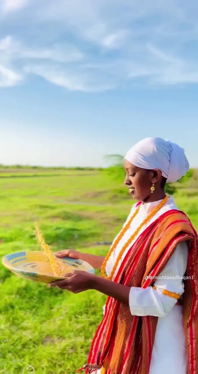 Sufiilwaad's tweet image. 📍A postcard from Arabsiyo, Somaliland. 🍊🌾🐪 #Asal