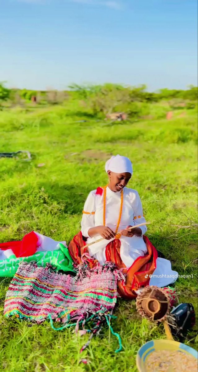 Sufiilwaad's tweet image. 📍A postcard from Arabsiyo, Somaliland. 🍊🌾🐪 #Asal