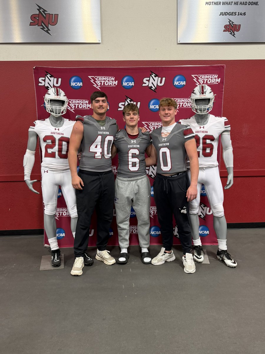 Blayden Neill 🐝 tweet media