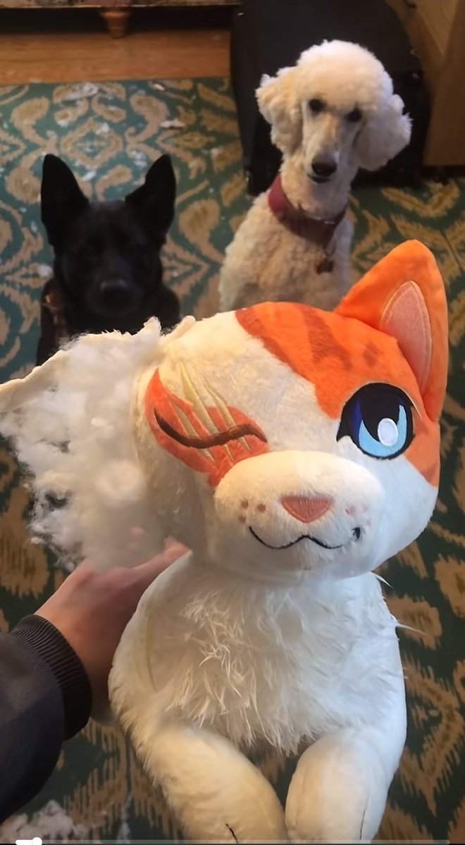 She can never get a break it seems 😭