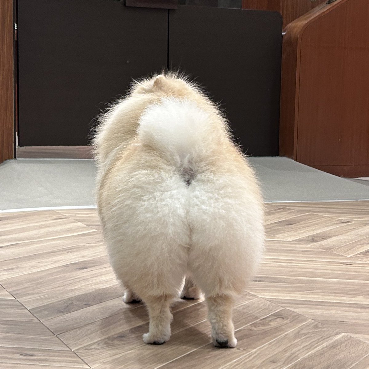 ちーちゃん54🥭 (@chichan54) / Posts / X