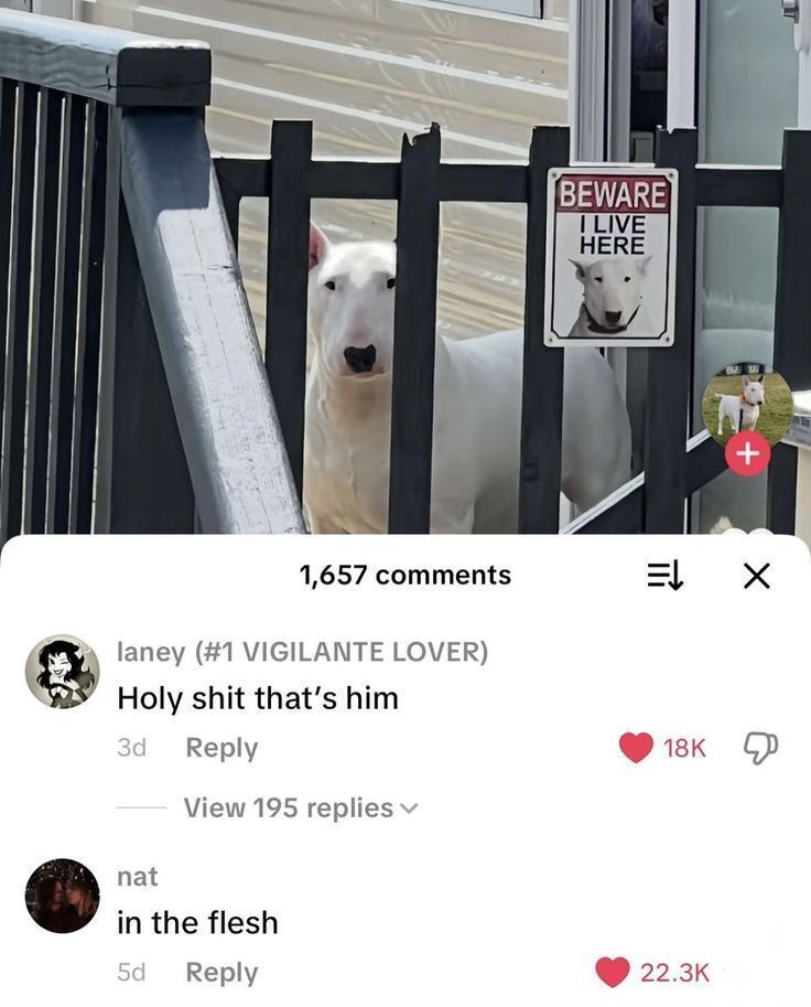 nocontextmemes's tweet image. 