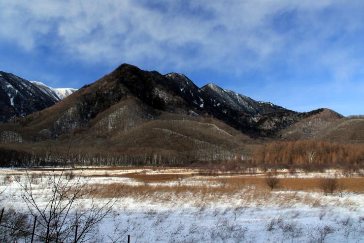 1/8 氷結した湯ノ湖
12/29 ミコアイサ（湯ノ湖）
1/7 氷結の進む庵滝
1/7 小田代原

提供：ベー太
nikko.4-seasons.jp/info/news_deta…