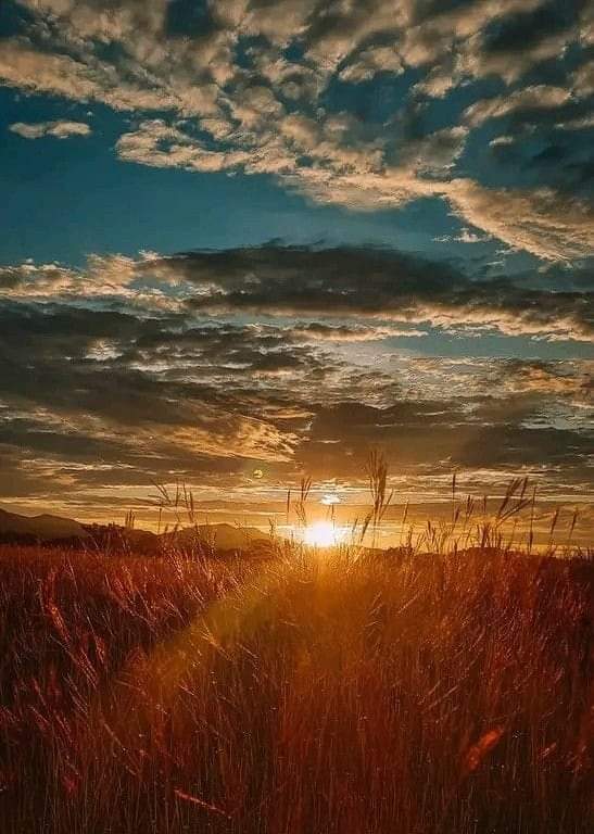 Exelente tarde ..!!! <a href="/_AnaLuna_/">Ana 🇲🇽</a> <a href="/AdrianaxD89/">Adriana 👑</a> @Anali46148134 <a href="/anagompra/">ANACELIA (Aniux) ❤💞🙏💋💐🌷🌹</a> <a href="/ErennChU/">𝓔𝓻𝓮𝓷 𝓒𝓱𝓪𝓿𝓮𝔃 ★🔥</a> <a href="/Guirnalda18/">🦋👑 Princesa bendecida 👑🦋</a> <a href="/JOY_YOYIS/">Joy- Vamos a tomarnos la vida a sorbos ☕😉💋</a> <a href="/lyz5a/">polyl°ve💌</a> <a href="/maky_lunaysol/">Måki CB🍍</a> <a href="/MRCPD19/">🇲🇽😘😘MAGO🍷🪄🥂🍾🥳🥳🫰❣️♥️🫶🍀🐅🦁</a> <a href="/Paula_Fieval/">Paula Fierro✨</a>