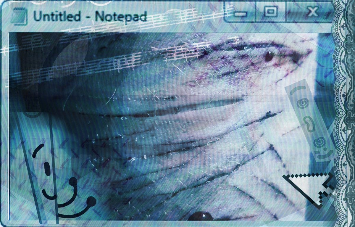 𓏼 𓏴 Leafster of Shtwt ୨୧ 𓏴 tweet media