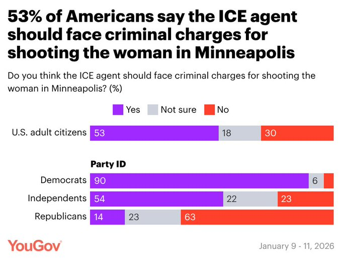 28% of Americans think ICE was justified in shooting Renee Good

53% think the ICE agent should face criminal charges