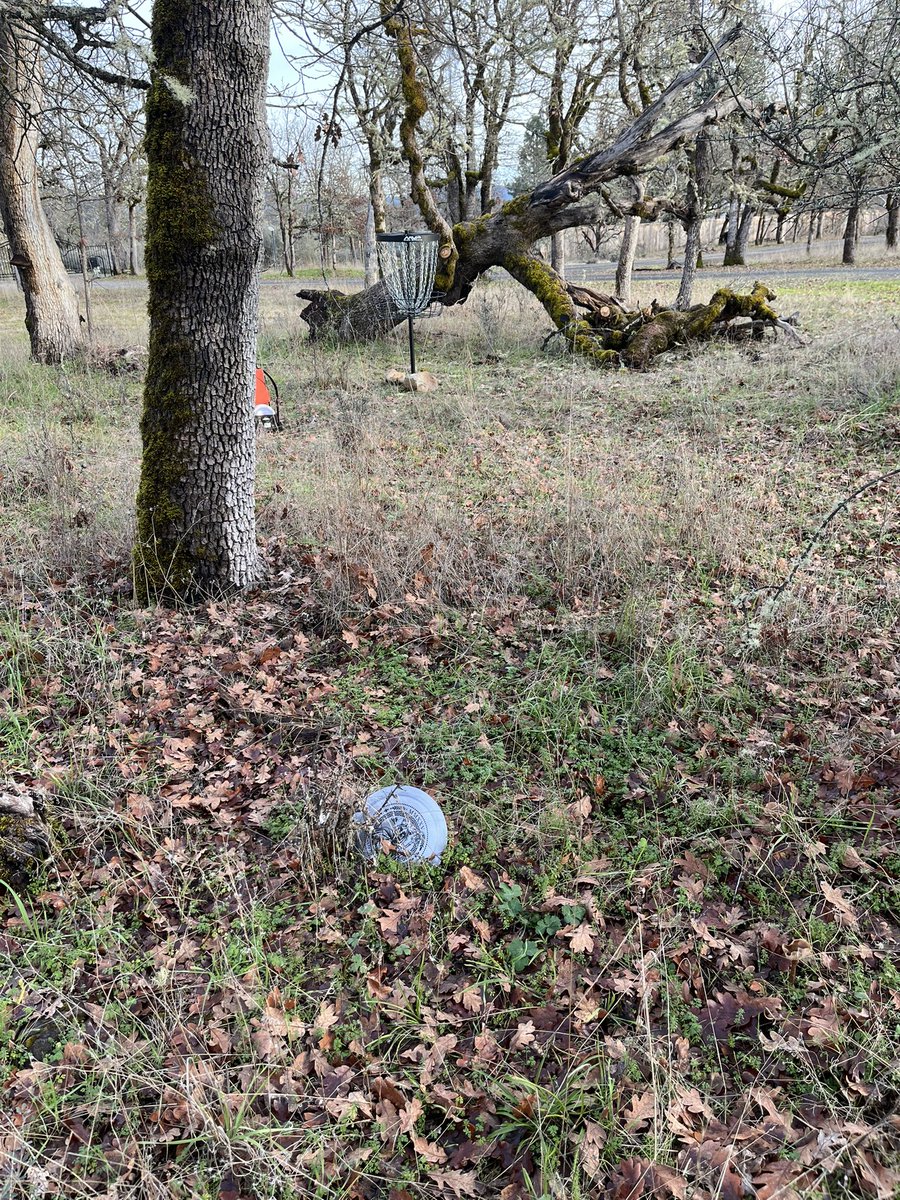 Jesse Davis tweet media