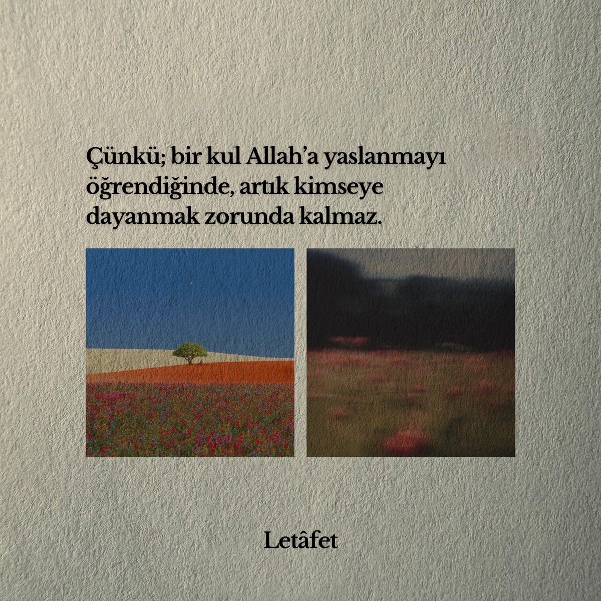 Letâfet (@letafetx) on Twitter photo 