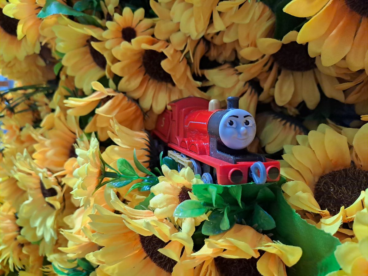 Suteki Engine 🇲🇽 tweet media