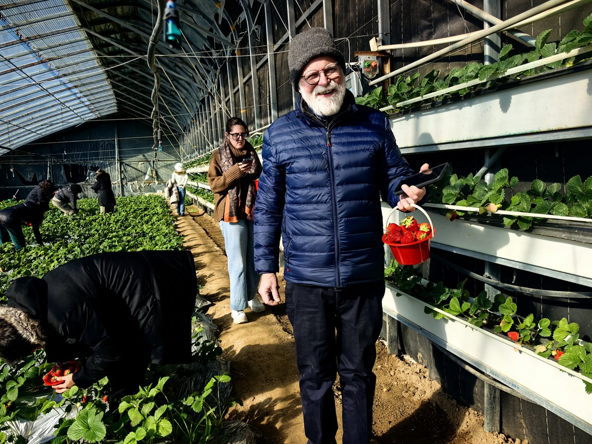 A group of students and faculty from #Cornell University visited the Pengle Family Farm in Yixian county, #Hebei, on Saturday. They picked strawberries and learned about local agriculture. This visit is part of a two-week program organized by #China Agricultural University. From