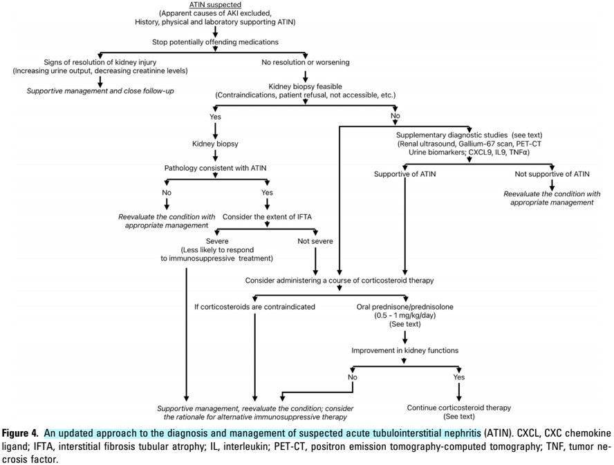 Nefro_Tweets tweet media