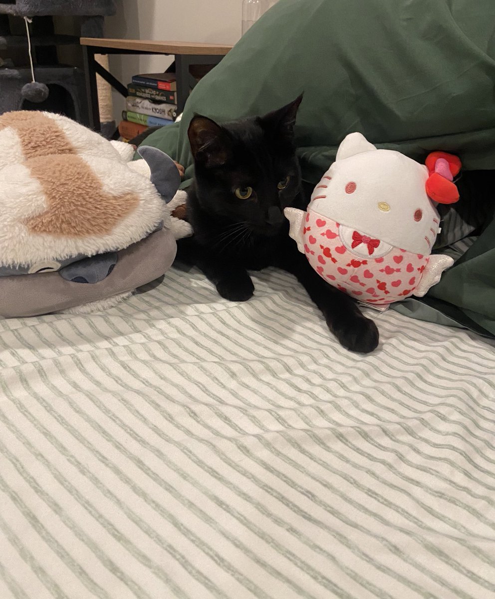 killrcbill's tweet image. Zeppelin and friends!