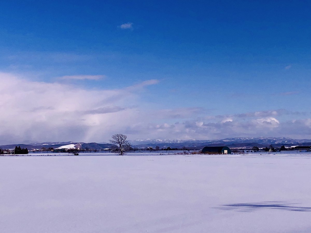 ⭐️白銀の野を眺めつつ想うのはここに白鳥下り立つ季節⭐️

『冬の凛』そんなタイトルをつけたくなるね😆
ここ岩見沢市内で毎年一番早く田植えが始まる場所。融雪期には白鳥も飛来。厳冬続きます。皆様、ご自愛を(^^)

今日も午後から吹雪予報⛄❄️あちゃー🥹

#白銀　#雪原　#岩見沢市　#短歌