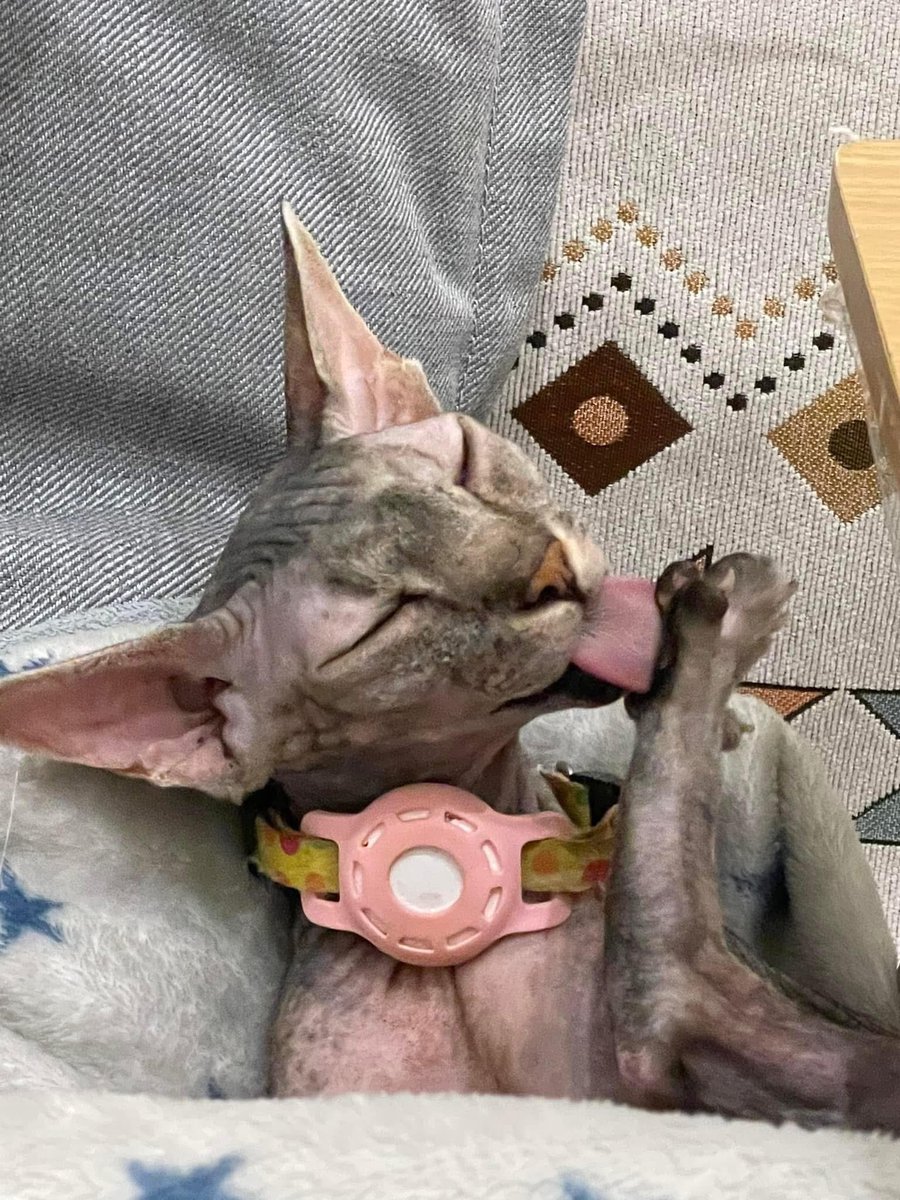 ตอนเล็กน่ารัก โตมาอะไรไม่รู้