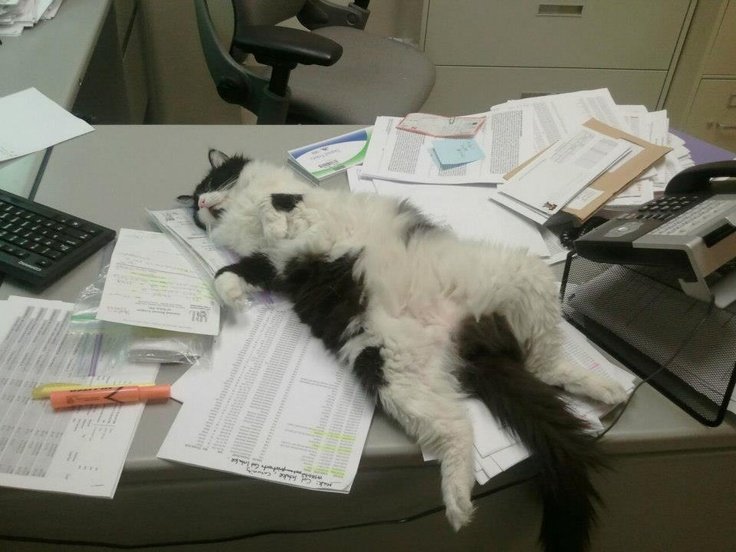 todavía no empecé a estudiar quien mierda me mando a patear todos los finales a febrero...