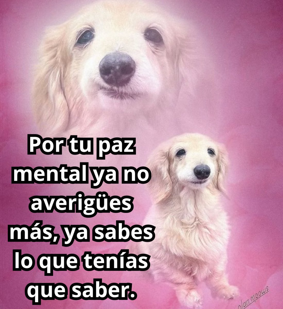 conoloracigarro's tweet image. 