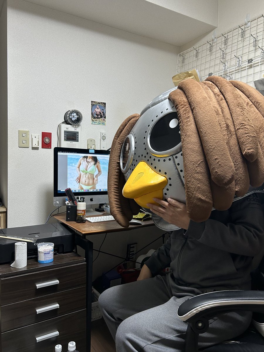 かぱにー (@futatsumits) / Posts / X