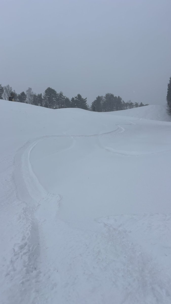 91emon's tweet image. snowboard薮原2026.1.13