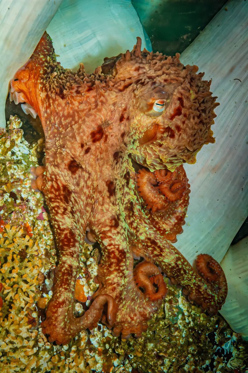 Third Age Expeditions ✈ tweet media