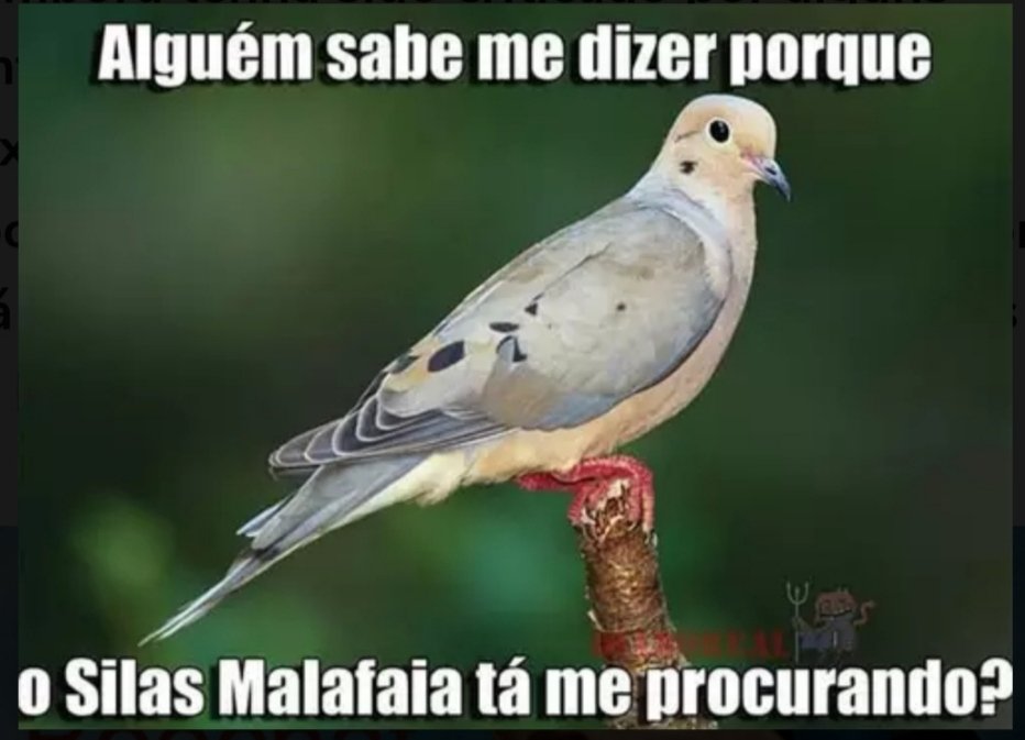 andre76andrade's tweet photo. @PastorMalafaia https://t.co/hyPrqwtsTl