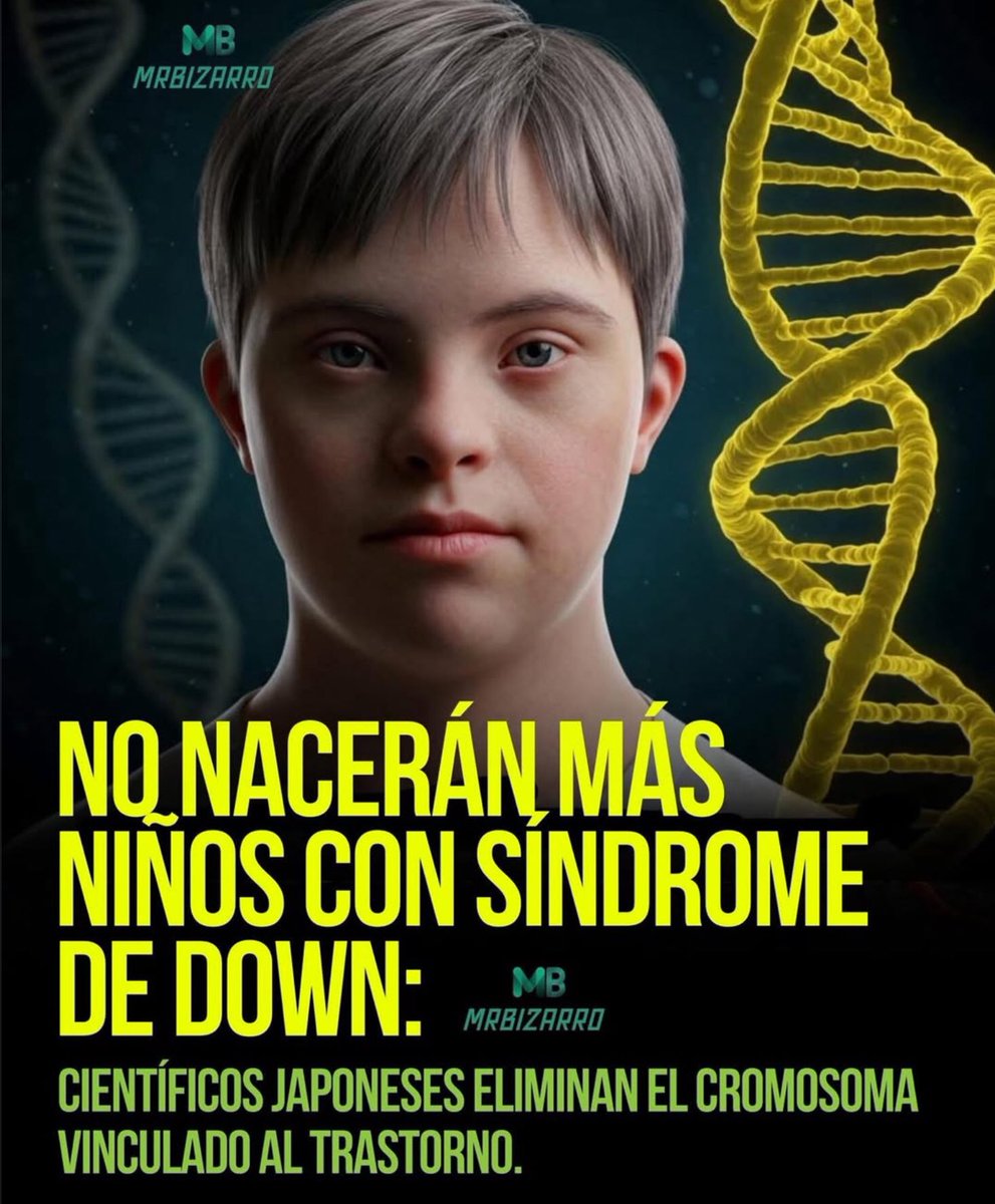 eldiariodedross's tweet image. Parcharon el bug