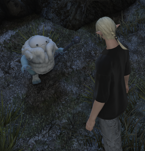 아.... 진짜 너무 귀여운데?
집에 데려가서 키워야겠다
이름은 멜롱<이런걸로다가 지어놓고