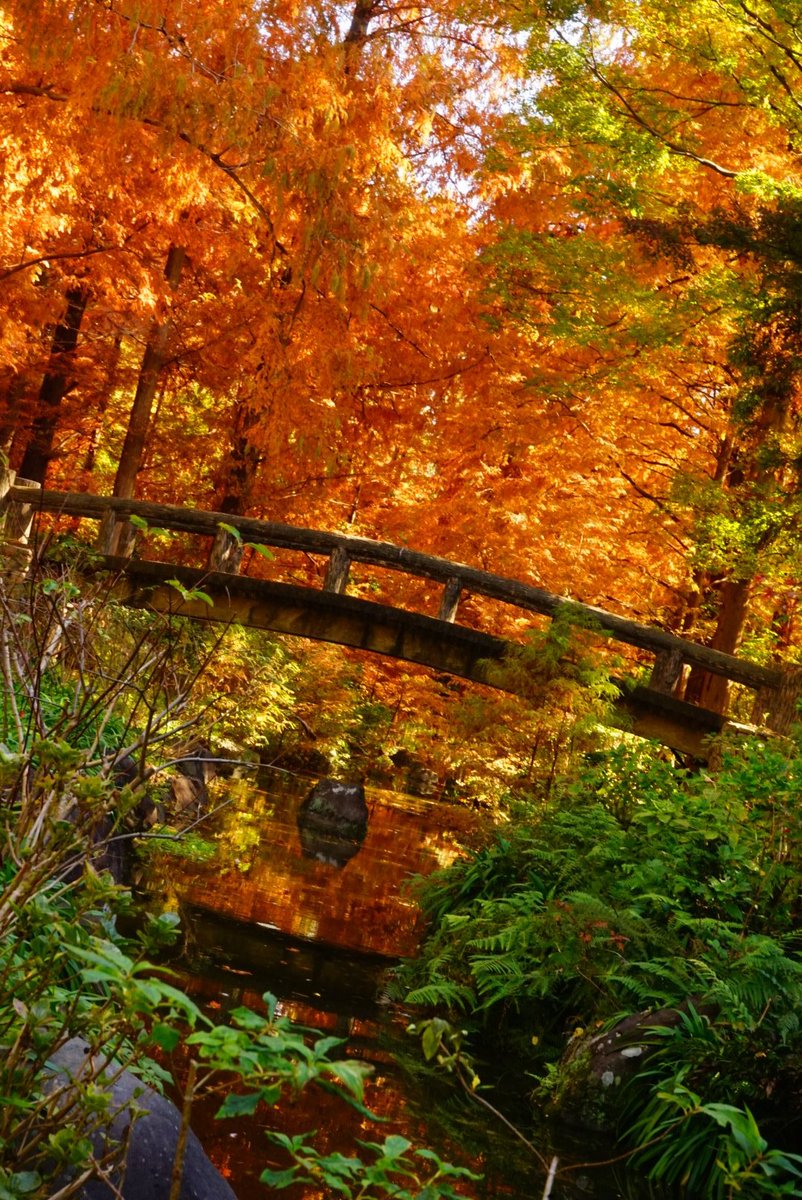 まこと (@yamakoto01) / Posts / X