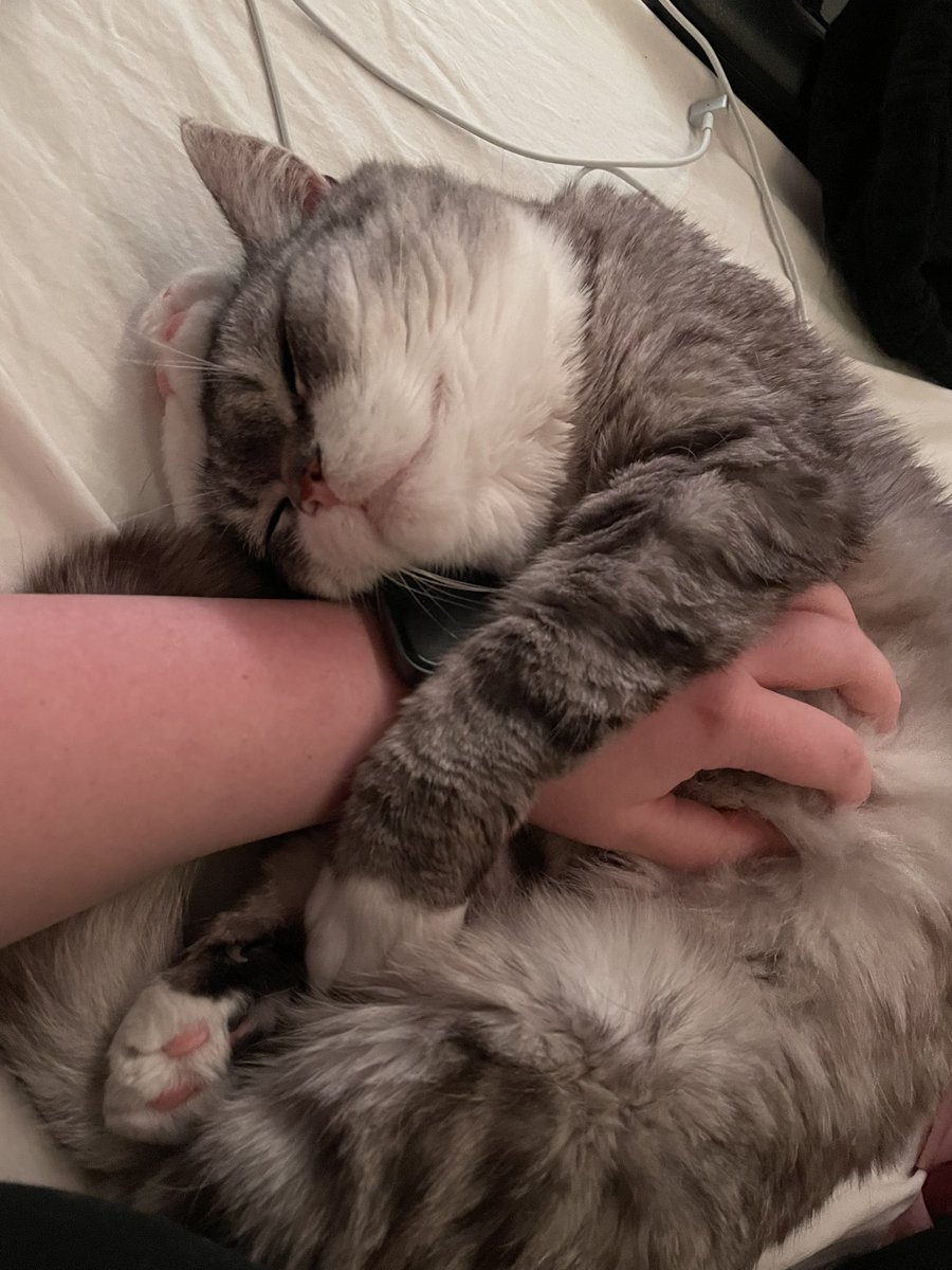 plutoniumoxide's tweet image. god fucking damm it i miss my baby