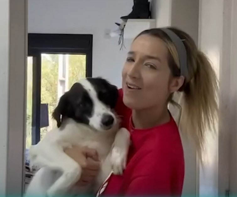 caldeiraomemes's tweet image. "Hoje eu moro sozinha, eu e meu cachorro com três pernas, o Lindolfo. Eu trabalho como vendedora e atendente, limpo banheiro, tô com o nome sujo, tô devendo a Deus e o mundo."

GENTE COMO A GENTE KKKKK #BBB26