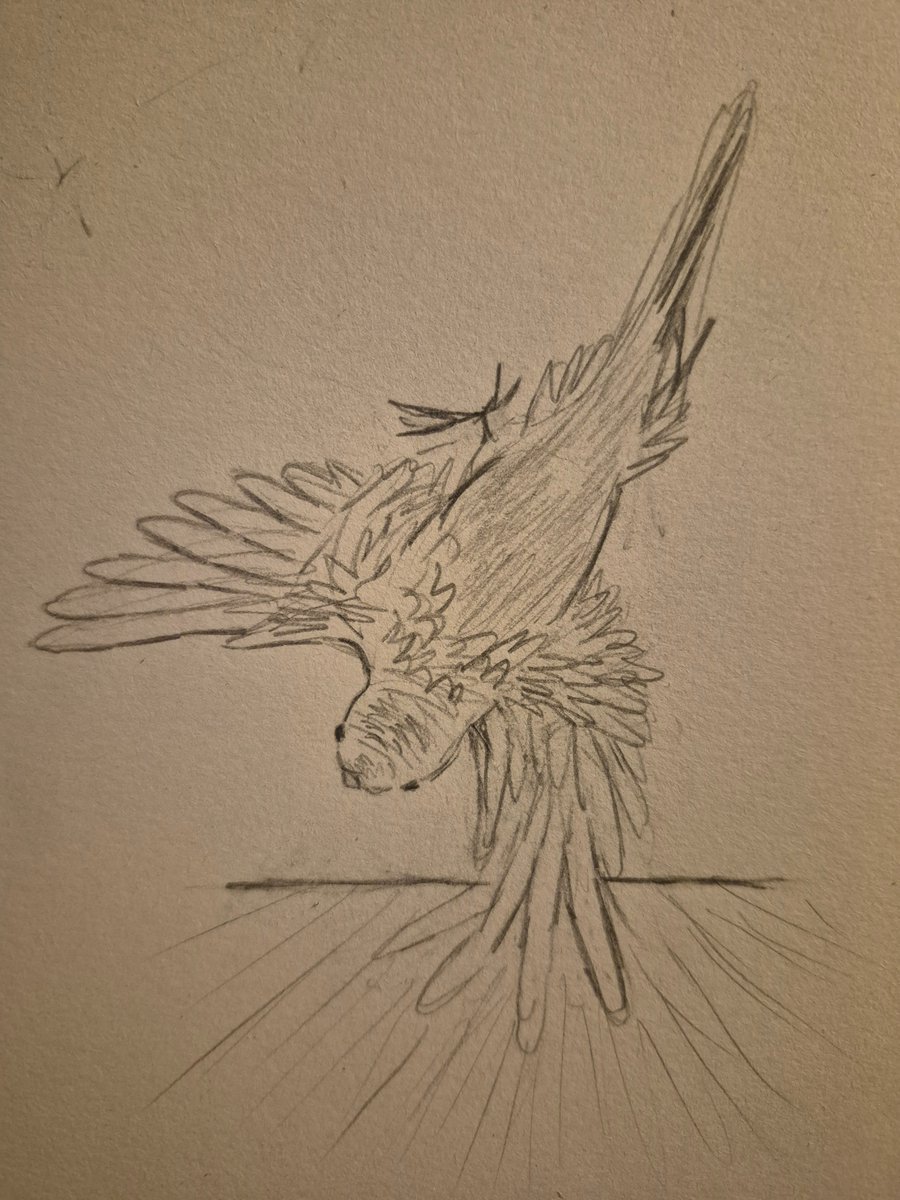 zachhwahhsted's tweet image. There's that
(it's breakdancing)