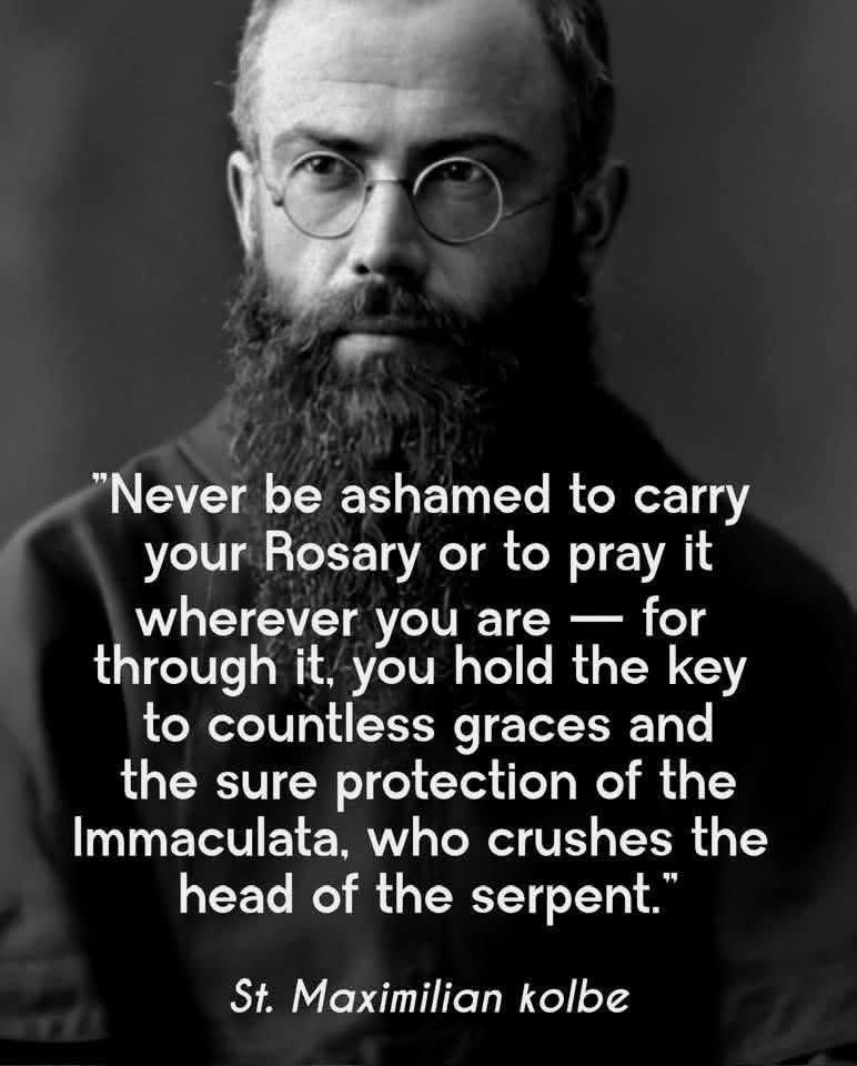 The Church Militant (@johnandrewdors3) on Twitter photo 