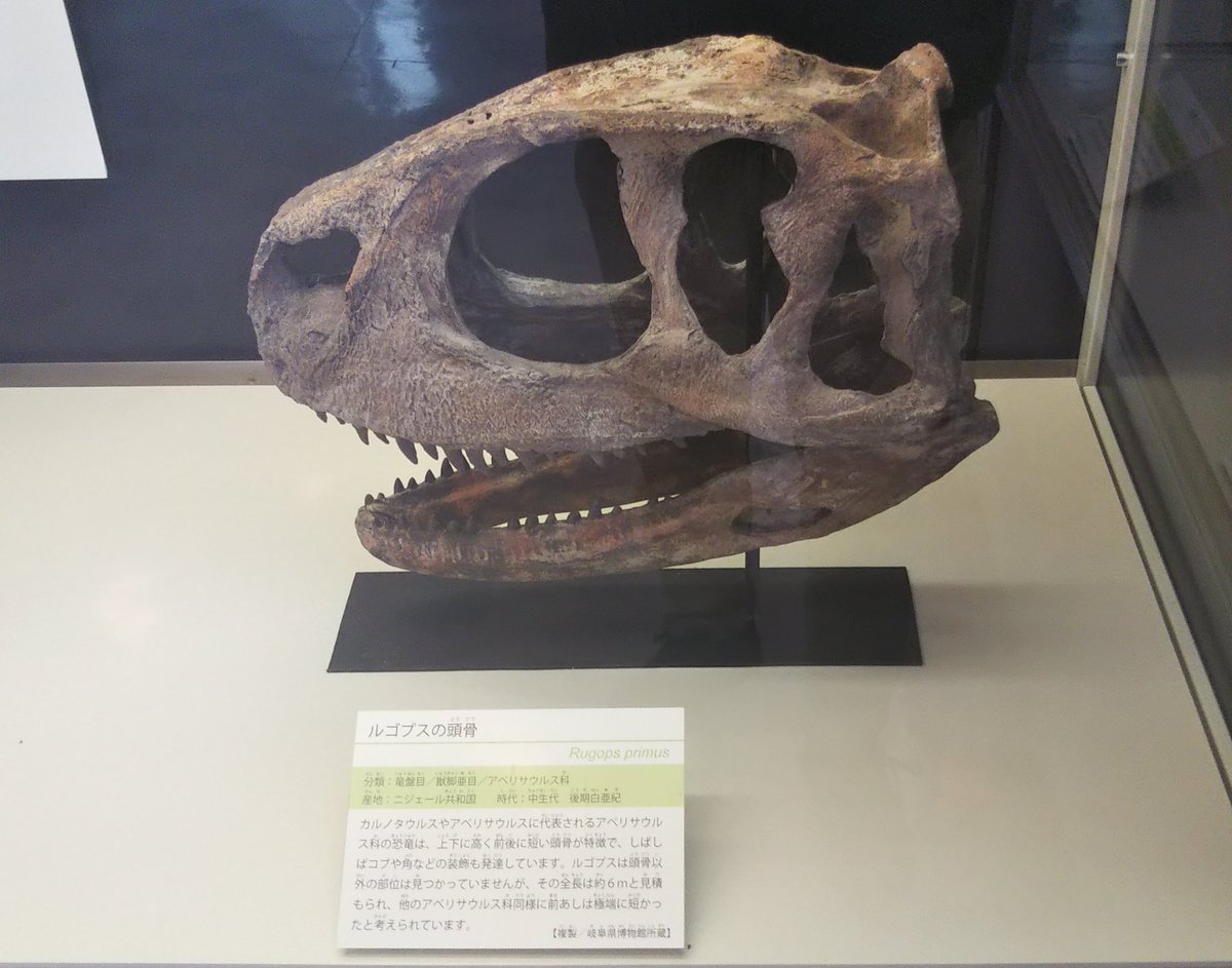 ニッポニテス (@Nipponites_) / Posts / X