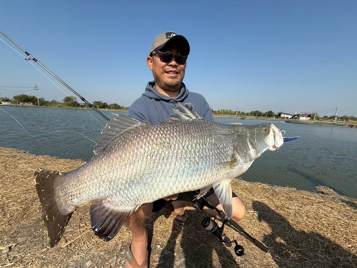 土居大紀 (@Daiki_Doi_Daiki) / Posts / X