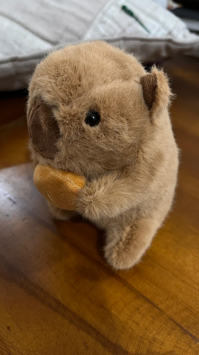 look at this dude...