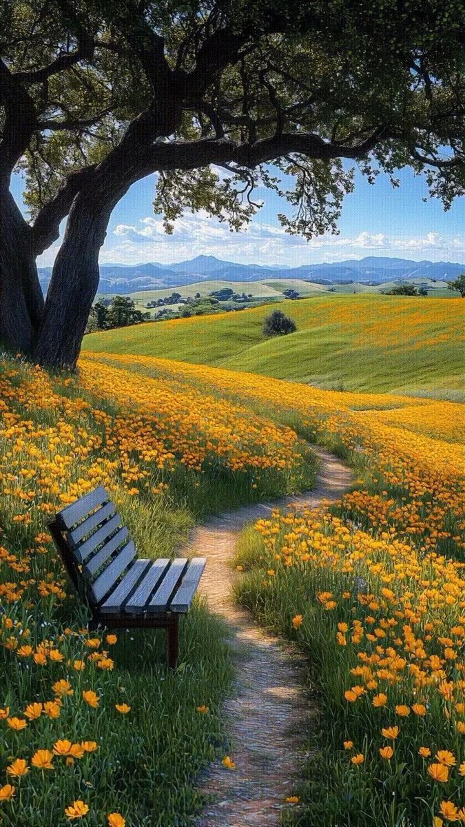 aestheticspost_'s tweet image. 