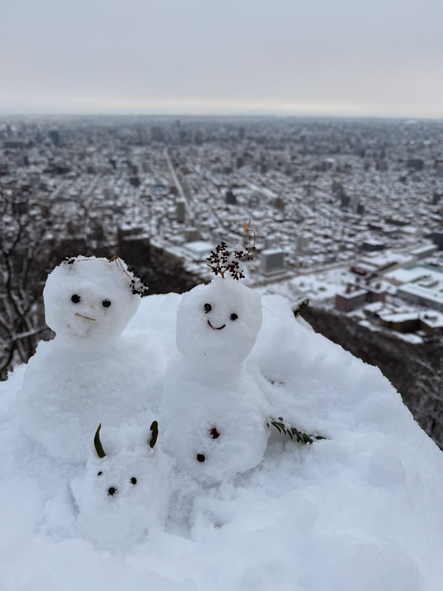 今日もだいぶ体調良いので超久々に山歩きしてきた。クマゲラさんがいたよ 