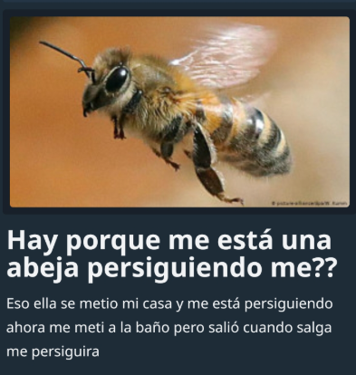 DevoxPosting's tweet image. 