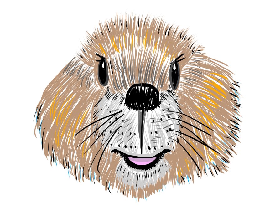 bibami(ビバ美) (@bi__bami) / Posts / X