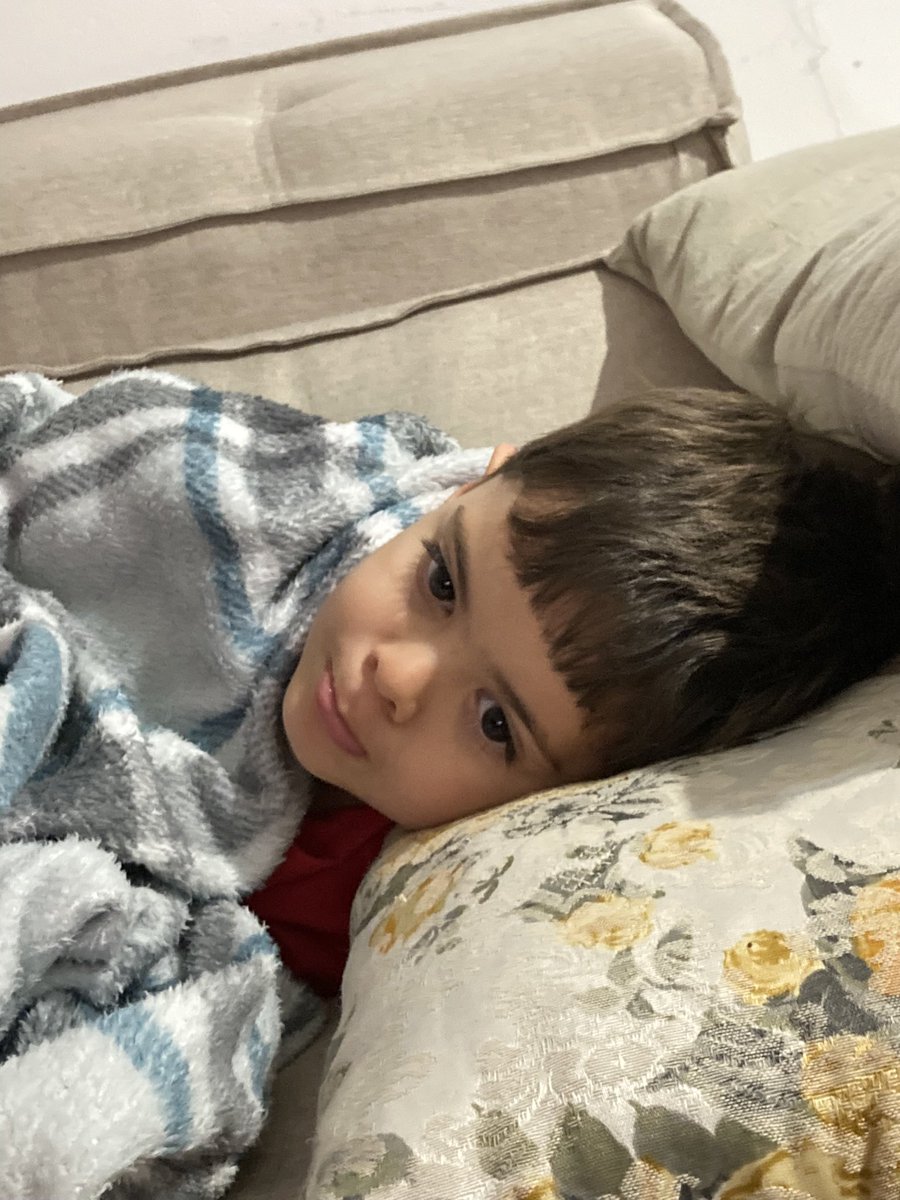 jejjecaa's tweet image. amo meus babys ☝🏻