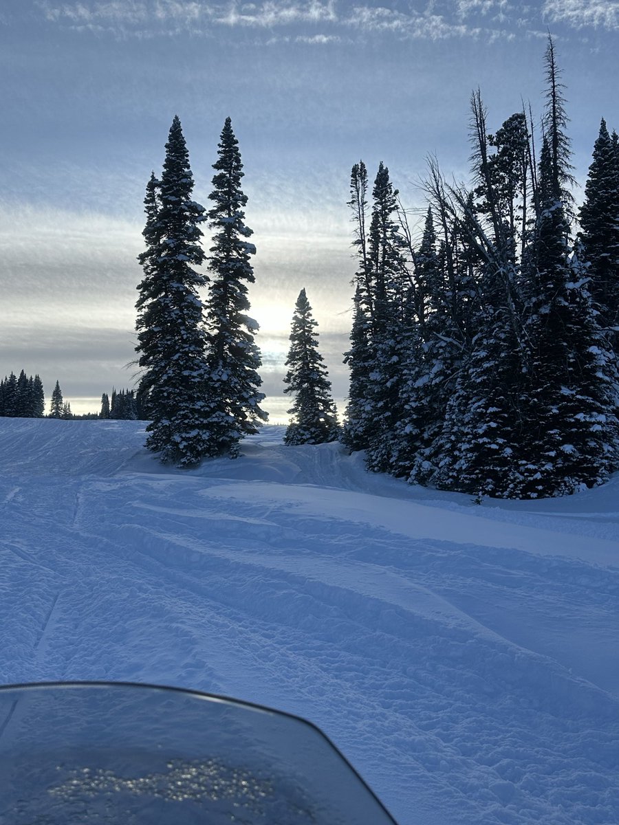 Gavin DeGraw tweet media