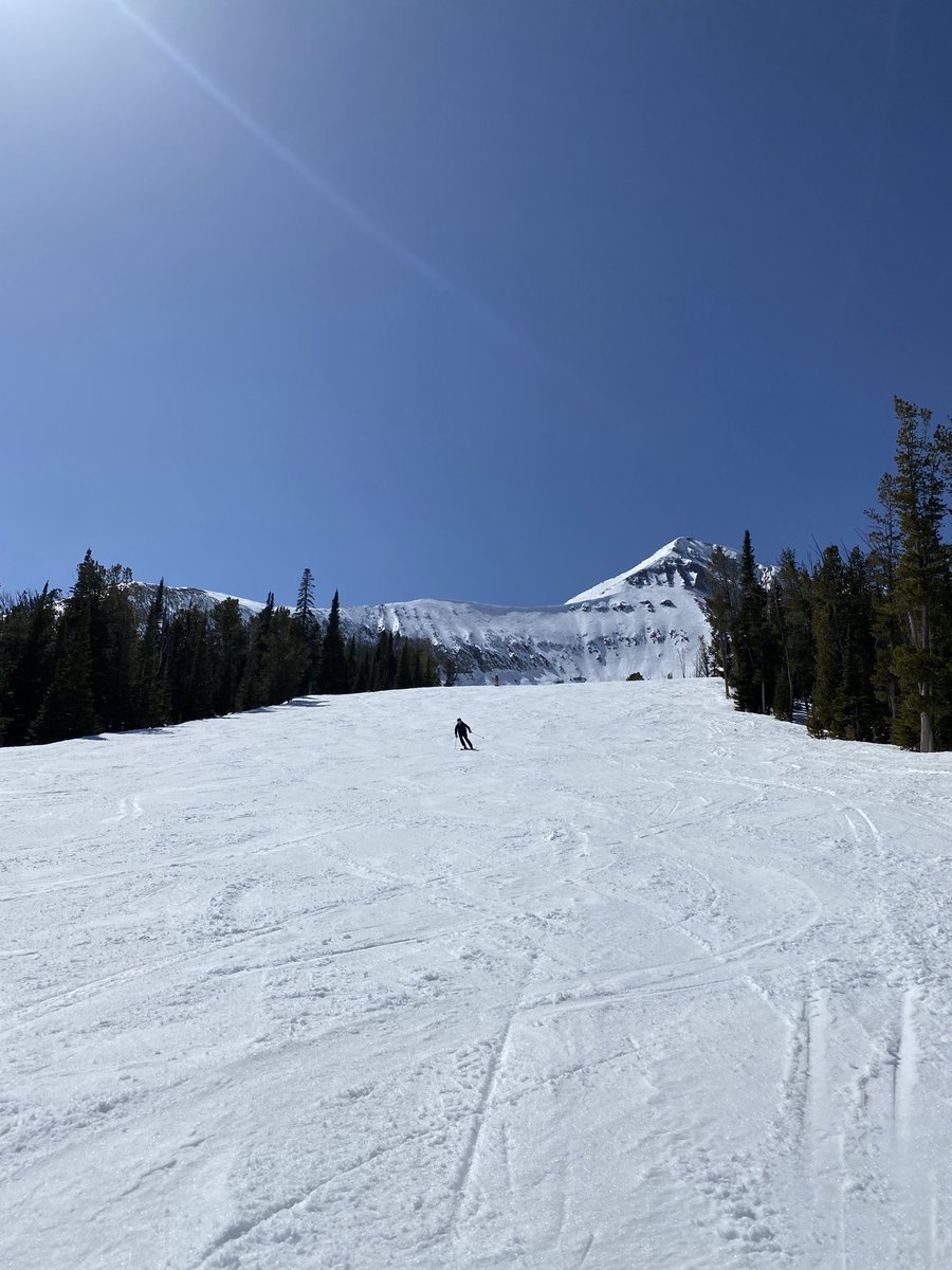 Gavin DeGraw tweet media