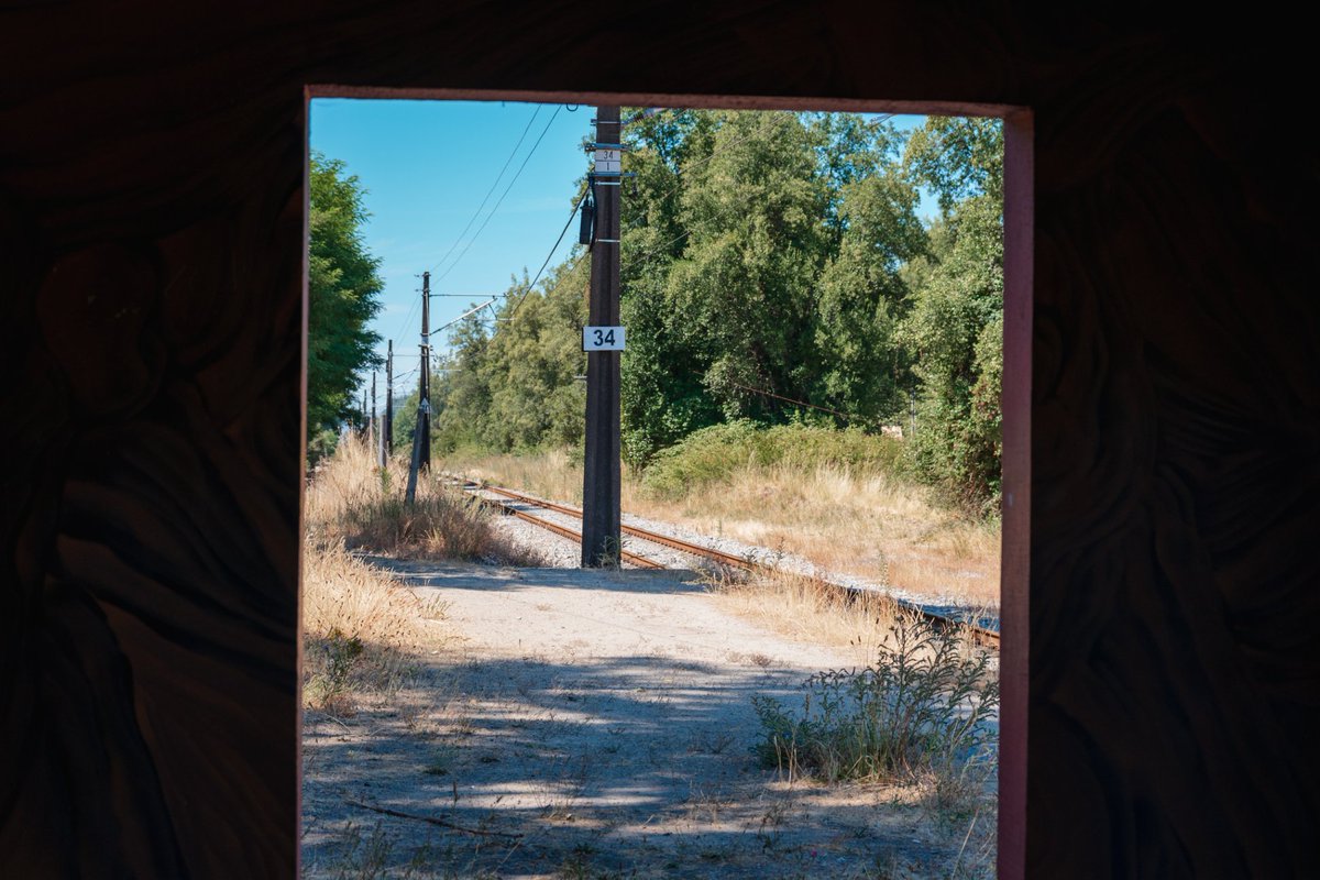 Finaliza este lunes a bordo del tren, nos vemos mañana siempre junto a ti. 😴🚄