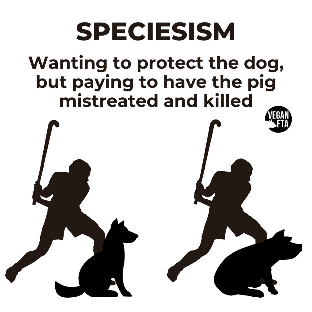 teamveganfta's tweet image. Speciesism is the idea that certain species matter more morally than others. 💭

Similar to other forms of discrimination, it justifies the exploitation of individuals deemed inferior simply because they belong to a particular group - in this case, a species.

All sentient beings…