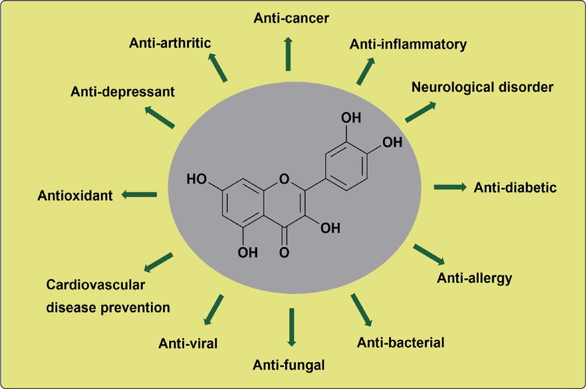 SSavson's tweet image. Eat more capers, they are the most robust source of quercetin, potentially around 200-500 mg per 100g, (Significantly more than onions, apples) 

Stabilizes mast cells, offsetting excess/inappropriate histamine. Reduces GI inflammation, strengthens intestinal barrier, and aids…