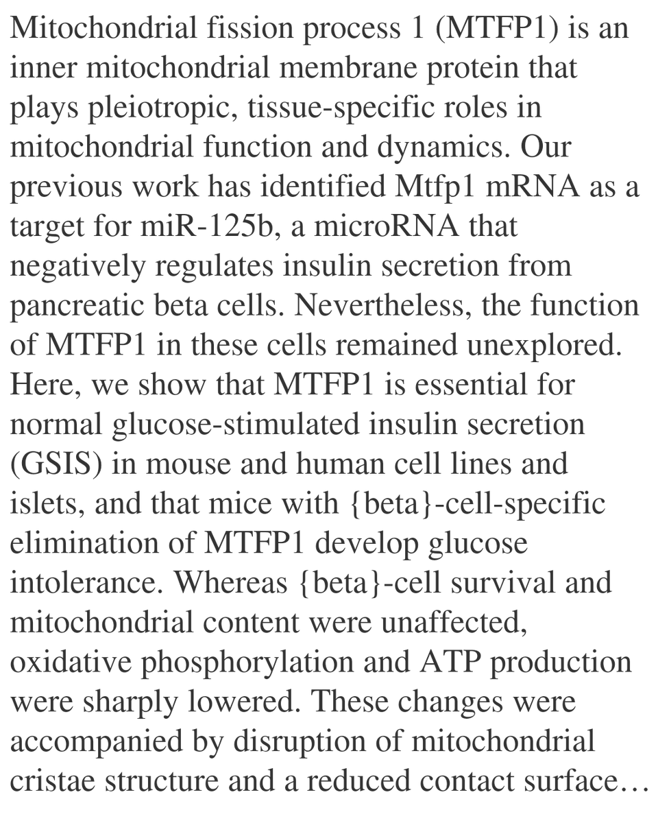 WFC's tweet image. MTFP1 preserves β-cell cristae structure and bioenergetics to ensure insulin release and glucose homeostasis

Sarwat, S., Alen, R., Wu, Z., Zhang, C., Paszek, M., Yang, M., Ostinelli, G., Mihalovits, A., Baker, B., Wai, T., Rutter, G. A., ...
biorxiv.org/content/10.648…