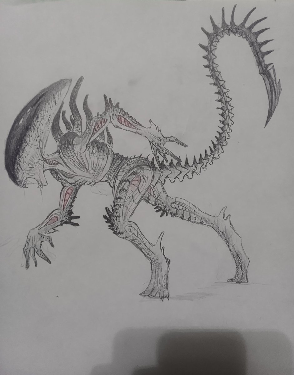 めめです₊⁎⁺˳✧༚ Correct me if I'm wrong and there's actual evidence but there's a