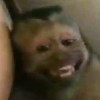 robsoffline's tweet image. a Sarah voltouu!!
#bbb26