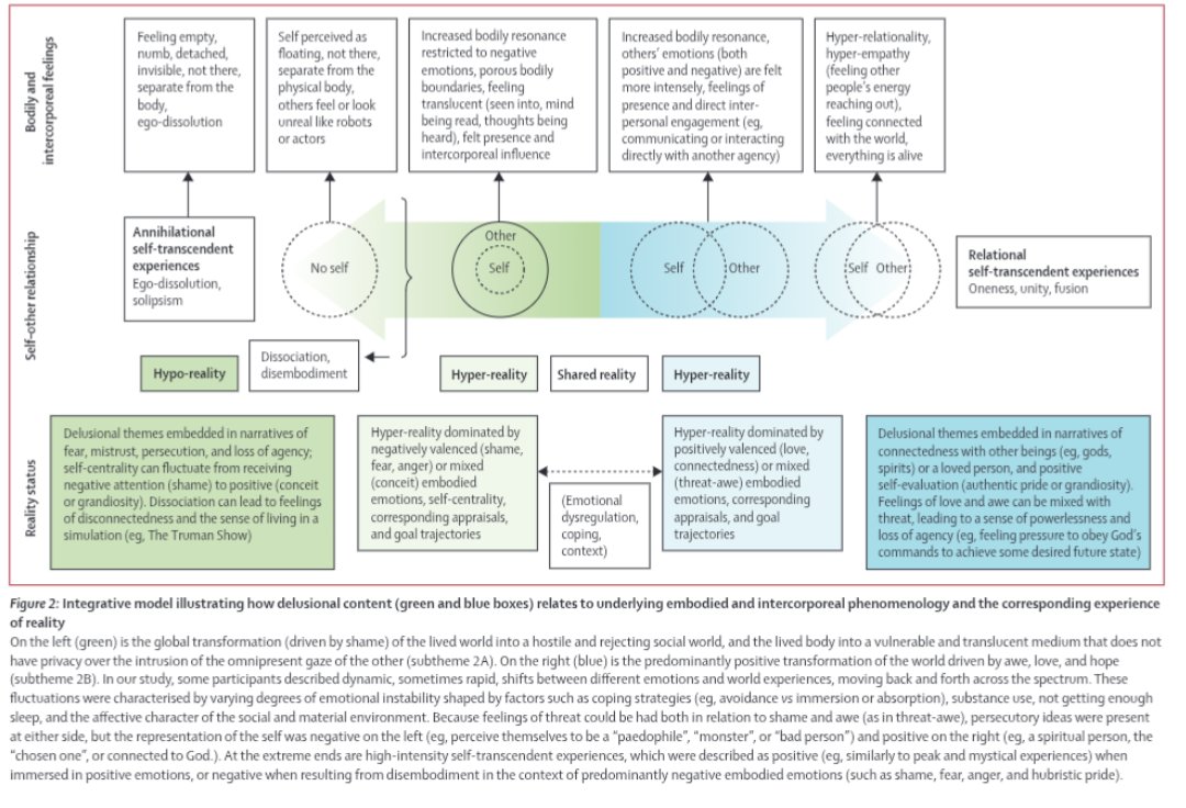 Rosa Ritunnano tweet media